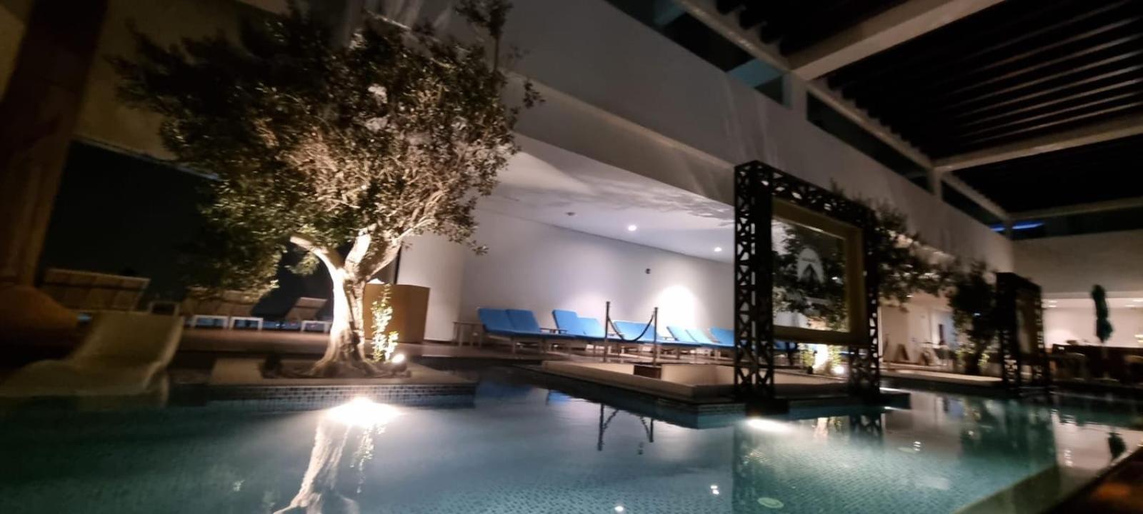 Gorgeous 2 Bedroom In Paramount Appartement Dubai